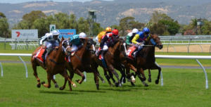 horse race betting